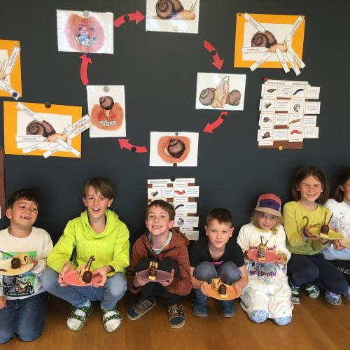 Schneckenprojekt_2023