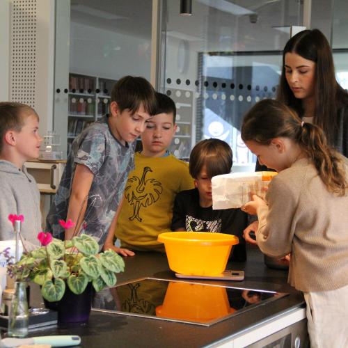 muffins in der schule 2024_2a