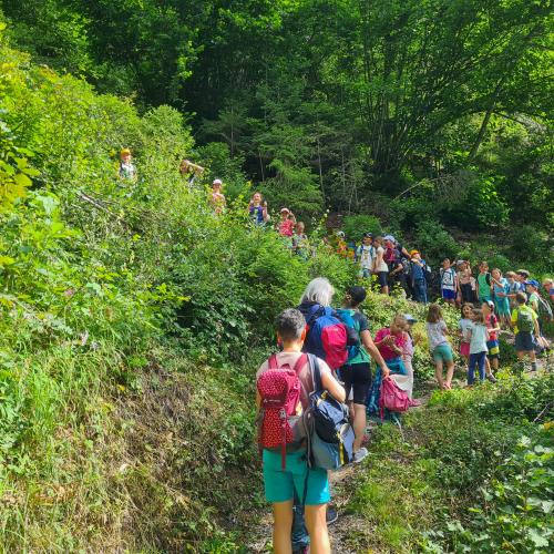 Wandertag Burg Klamm