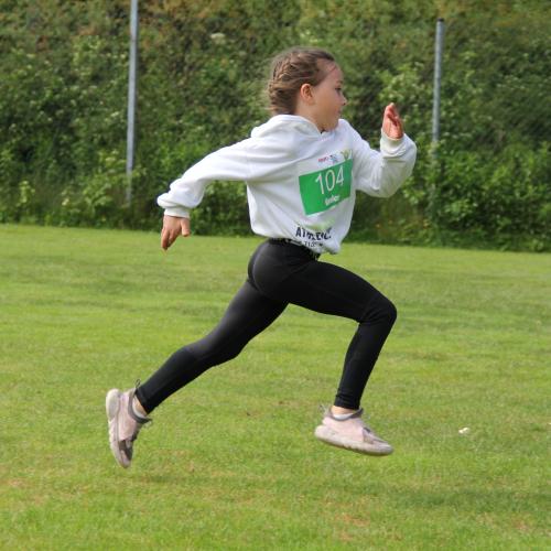 ASVÖ-Leichtathleitik Grand Prix 2024