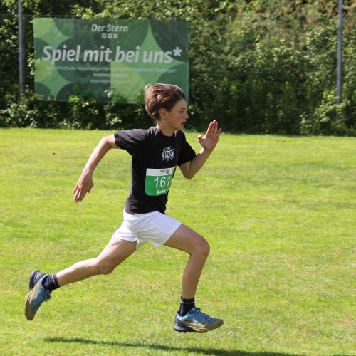 ASVÖ-Leichtathleitik Grand Prix 2024