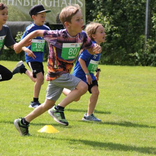 ASVÖ-Leichtathleitik Grand Prix 2024