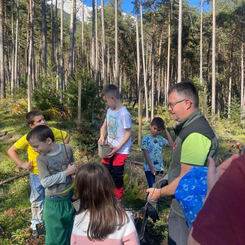 100 Bäume für den Mieminger Wald