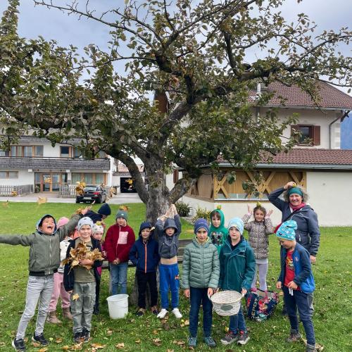 Wie viele Kerne hat der Apfel?