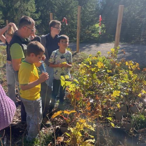 100 Bäume für den Mieminger Wald