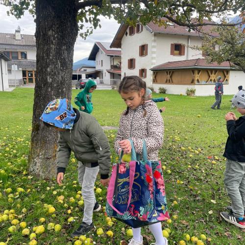 Wie viele Kerne hat der Apfel?