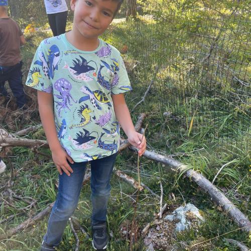100 Bäume für den Mieminger Wald