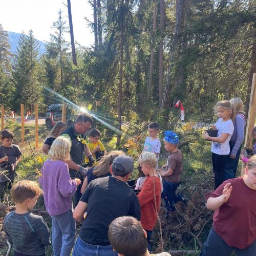 100 Bäume für den Mieminger Wald