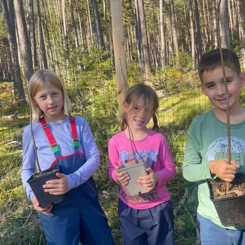 100 Bäume für den Mieminger Wald
