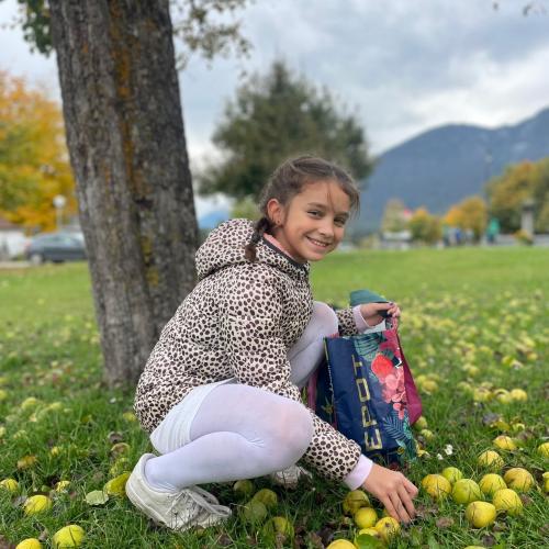 Wie viele Kerne hat der Apfel?