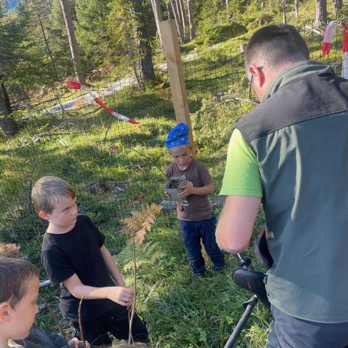 100 Bäume für den Mieminger Wald