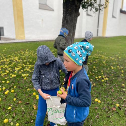 Wie viele Kerne hat der Apfel?