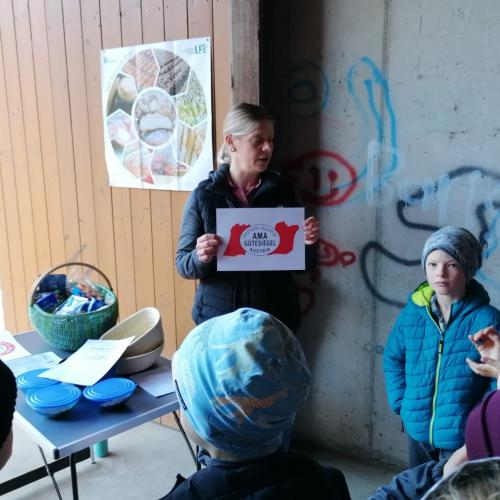 besuch am bauernhof 2024