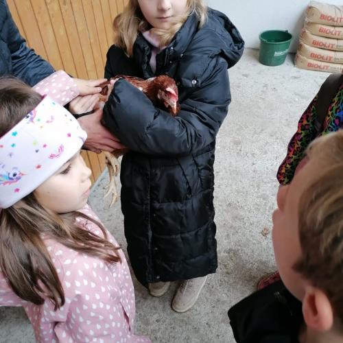 besuch am bauernhof 2024