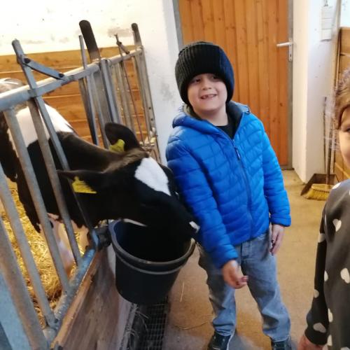 besuch am bauernhof 2024