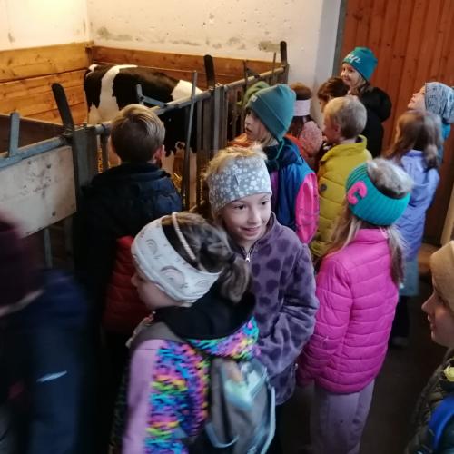 besuch am bauernhof 2024