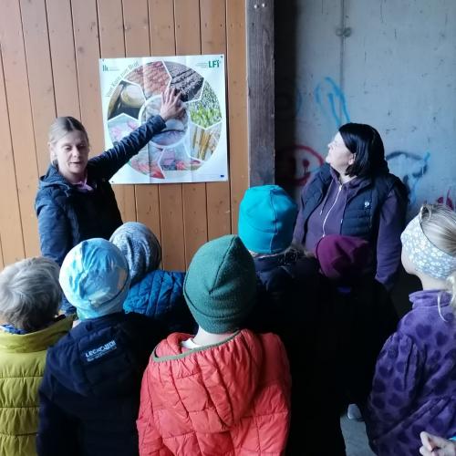 besuch am bauernhof 2024