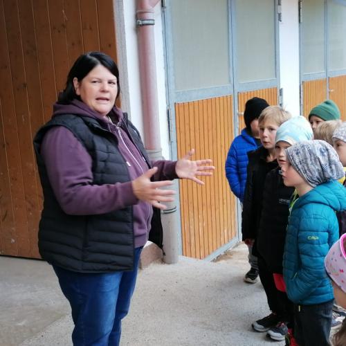 besuch am bauernhof 2024