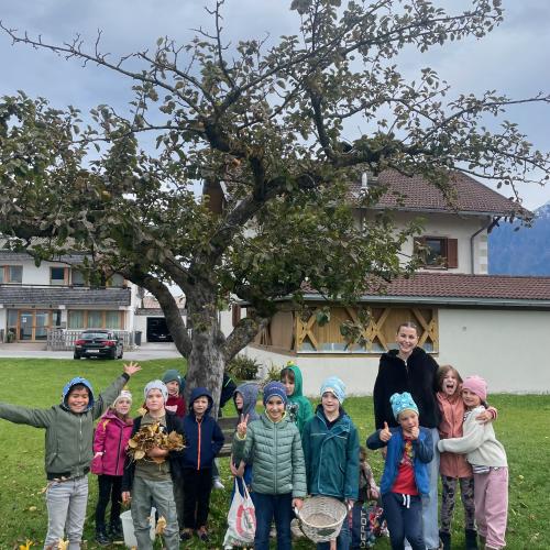 Wie viele Kerne hat der Apfel?