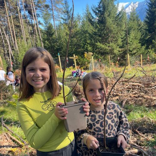 100 Bäume für den Mieminger Wald