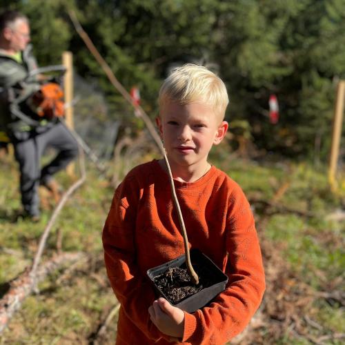 100 Bäume für den Mieminger Wald