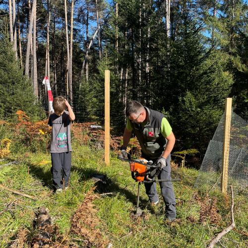100 Bäume für den Mieminger Wald