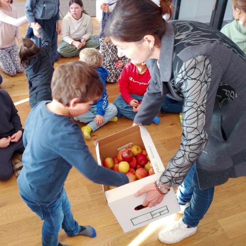 Tag des Apfels 2024