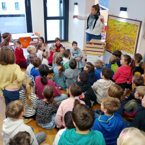 Schulobstprogramm 2024