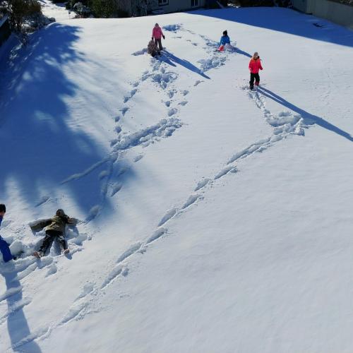 Der erste Schnee Juchee