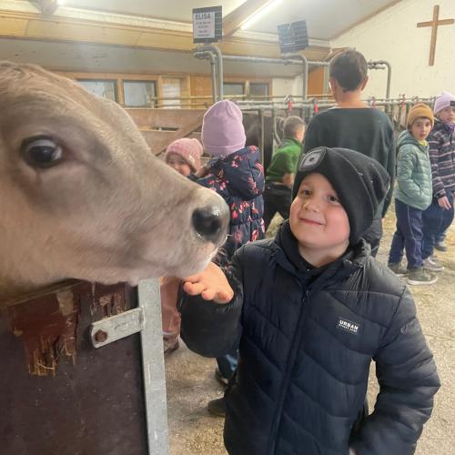 Besuch am Bauernhof  - Nachmittagsbetreuung