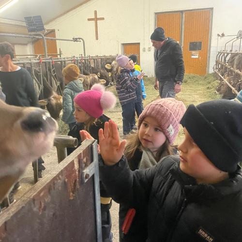 Besuch am Bauernhof  - Nachmittagsbetreuung
