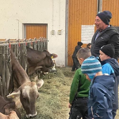 Besuch am Bauernhof  - Nachmittagsbetreuung