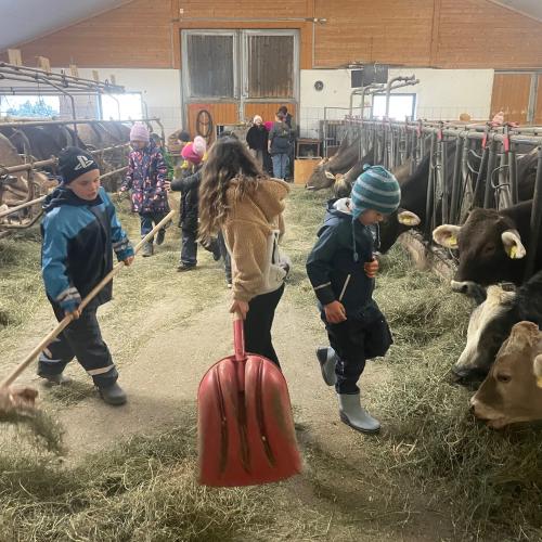 Besuch am Bauernhof  - Nachmittagsbetreuung