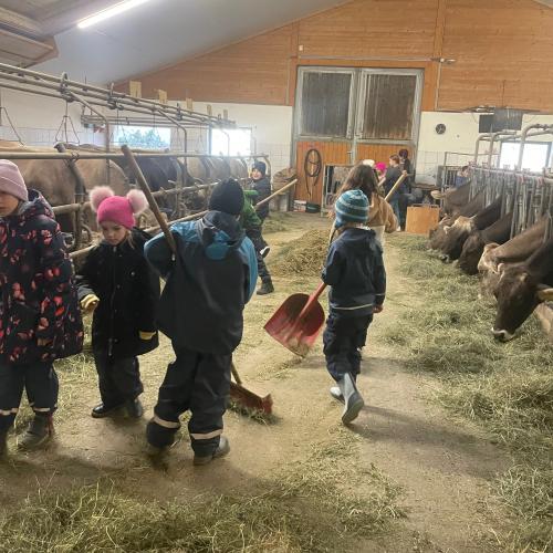 Besuch am Bauernhof  - Nachmittagsbetreuung