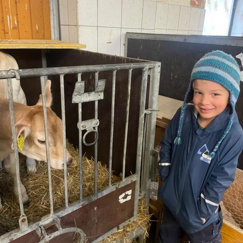 Besuch am Bauernhof  - Nachmittagsbetreuung
