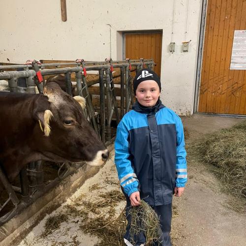 Besuch am Bauernhof  - Nachmittagsbetreuung