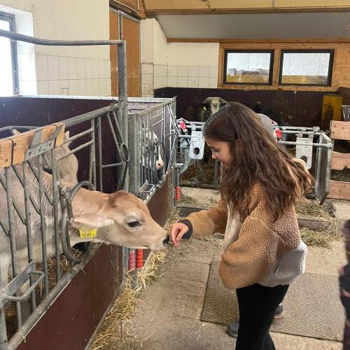 Besuch am Bauernhof  - Nachmittagsbetreuung