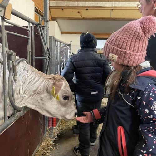 Besuch am Bauernhof  - Nachmittagsbetreuung