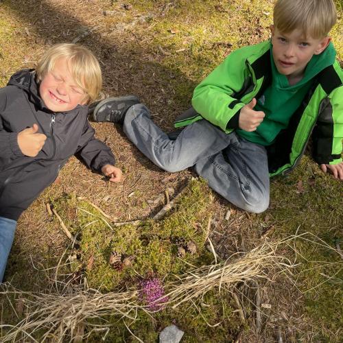 osterhasen gesichtet