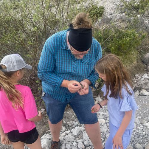 Fossiliensuche