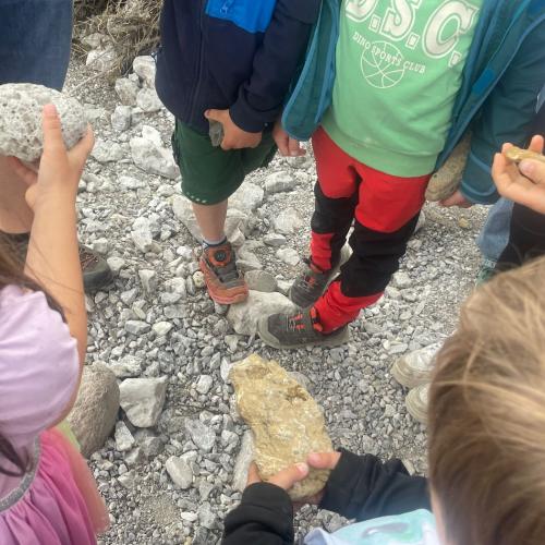 Fossiliensuche