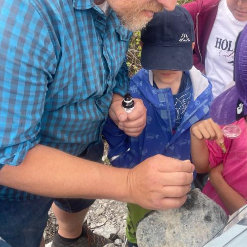 Fossiliensuche