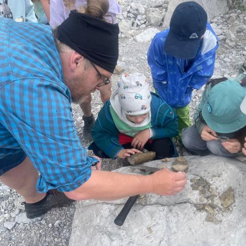 Fossiliensuche