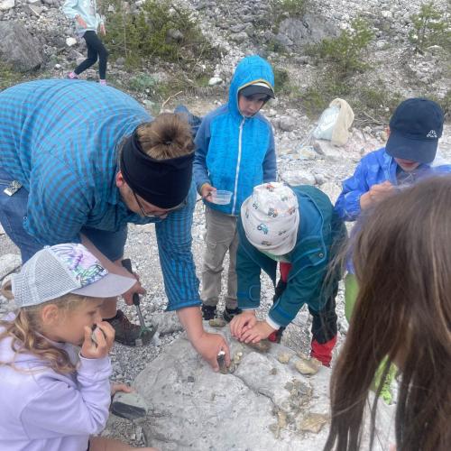 Fossiliensuche