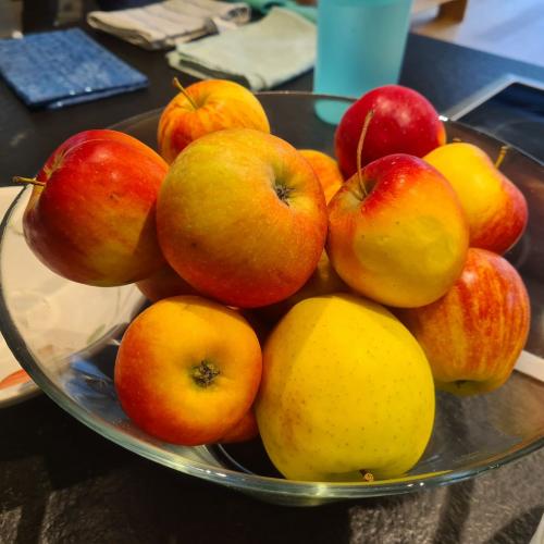 Mittagessen 2025