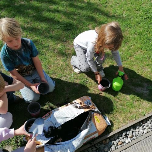 Naturwettbewerb 2025
