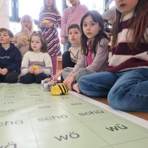 BeeBots in der Schule