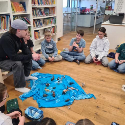 Bärenstark 2026