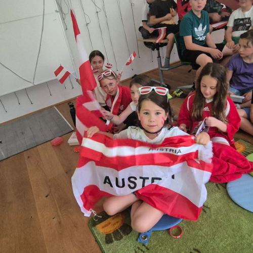 Fußball WM