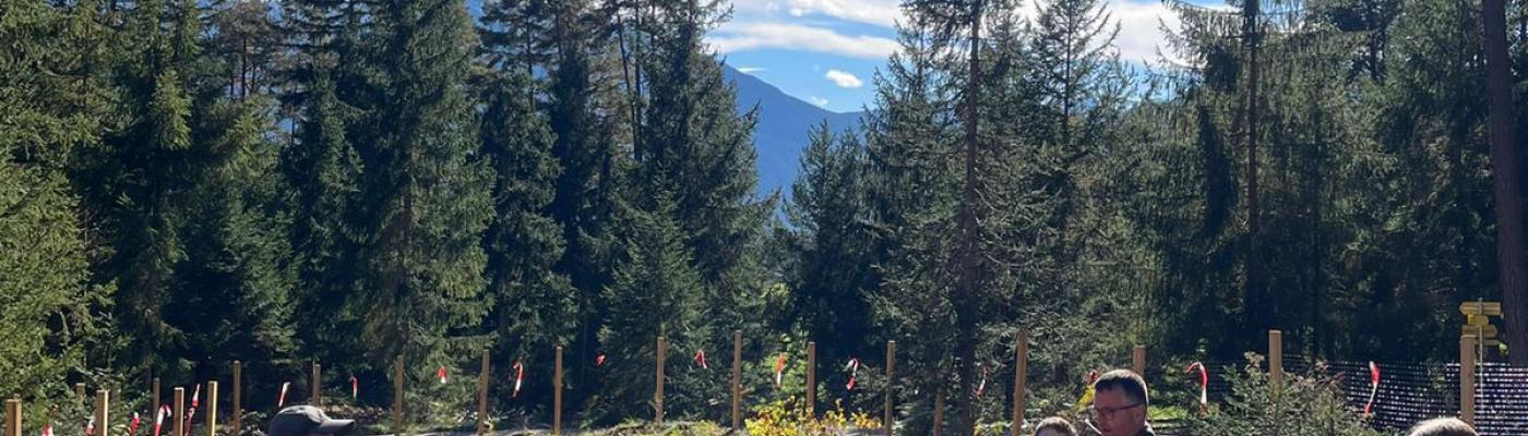 100 Bäume für den Mieminger Wald